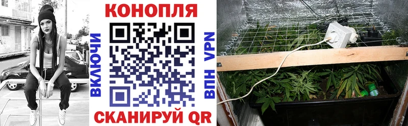 где купить наркоту  Спасск  мега ссылка  Канабис SATIVA & INDICA 